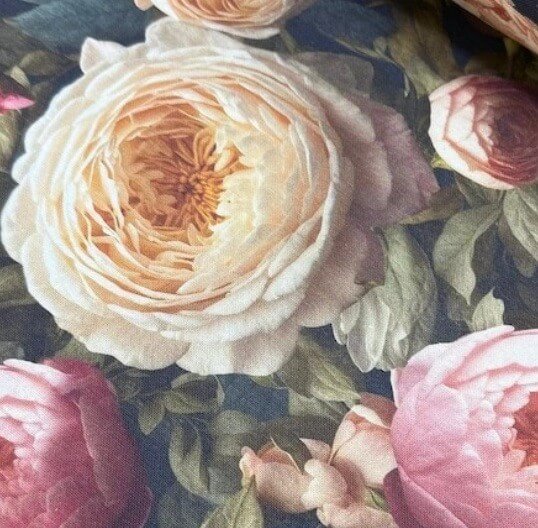 Close up of shabby chic cream and pink vintage rose patterned upholstery curtain fabric.